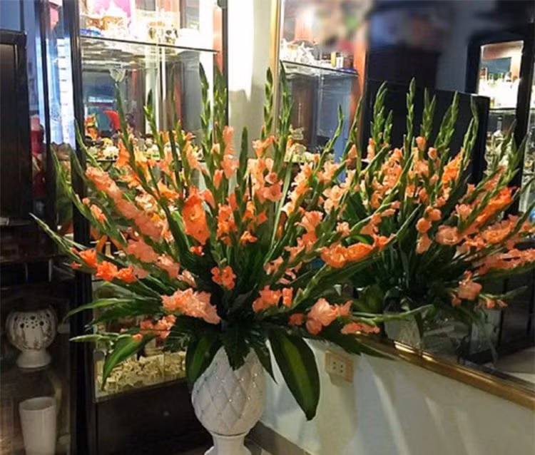 Dùng nước lã cắm hoa là chưa đủ: Thêm thứ này vào hoa tươi roi rói ảnh 2