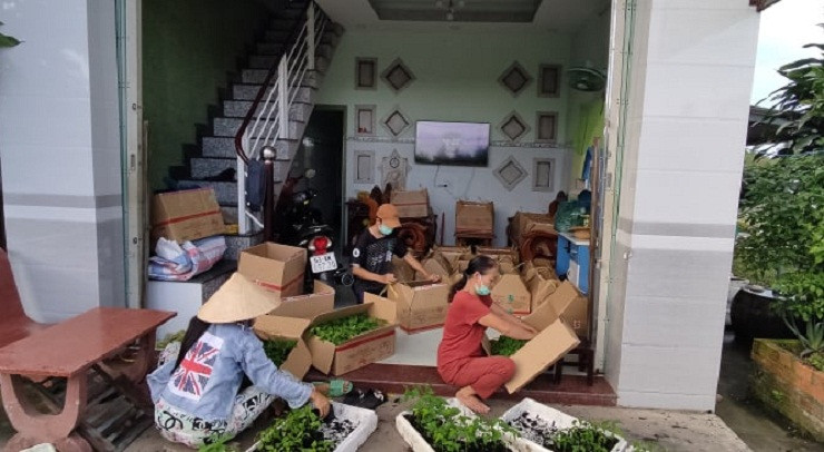 Co gai thu lai ca tram trieu moi nam sau quyet dinh ve que khoi nghiep-Hinh-2