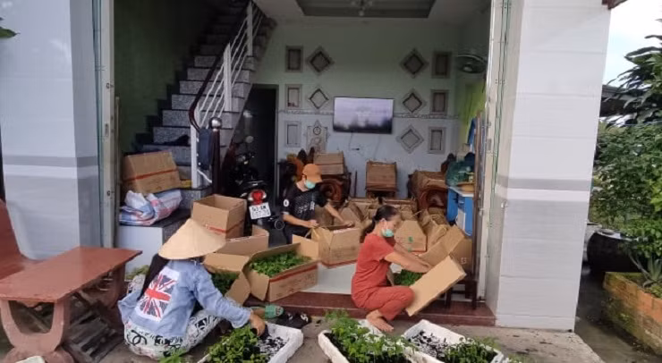 Co gai thu lai ca tram trieu moi nam sau quyet dinh ve que khoi nghiep-Hinh-2