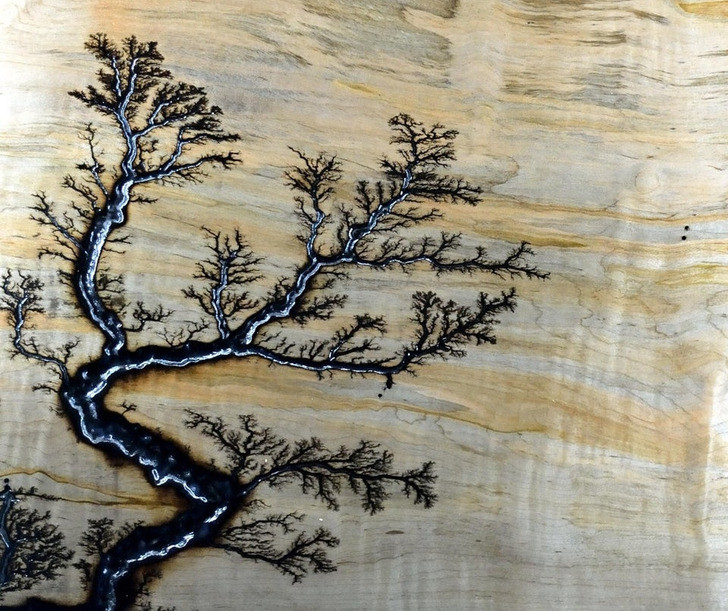 Sự khác biệt đầy thú vị của khoa học và thực tế - Hình 3 Su khac biet day thu vi cua khoa hoc va thuc te-Hinh-3