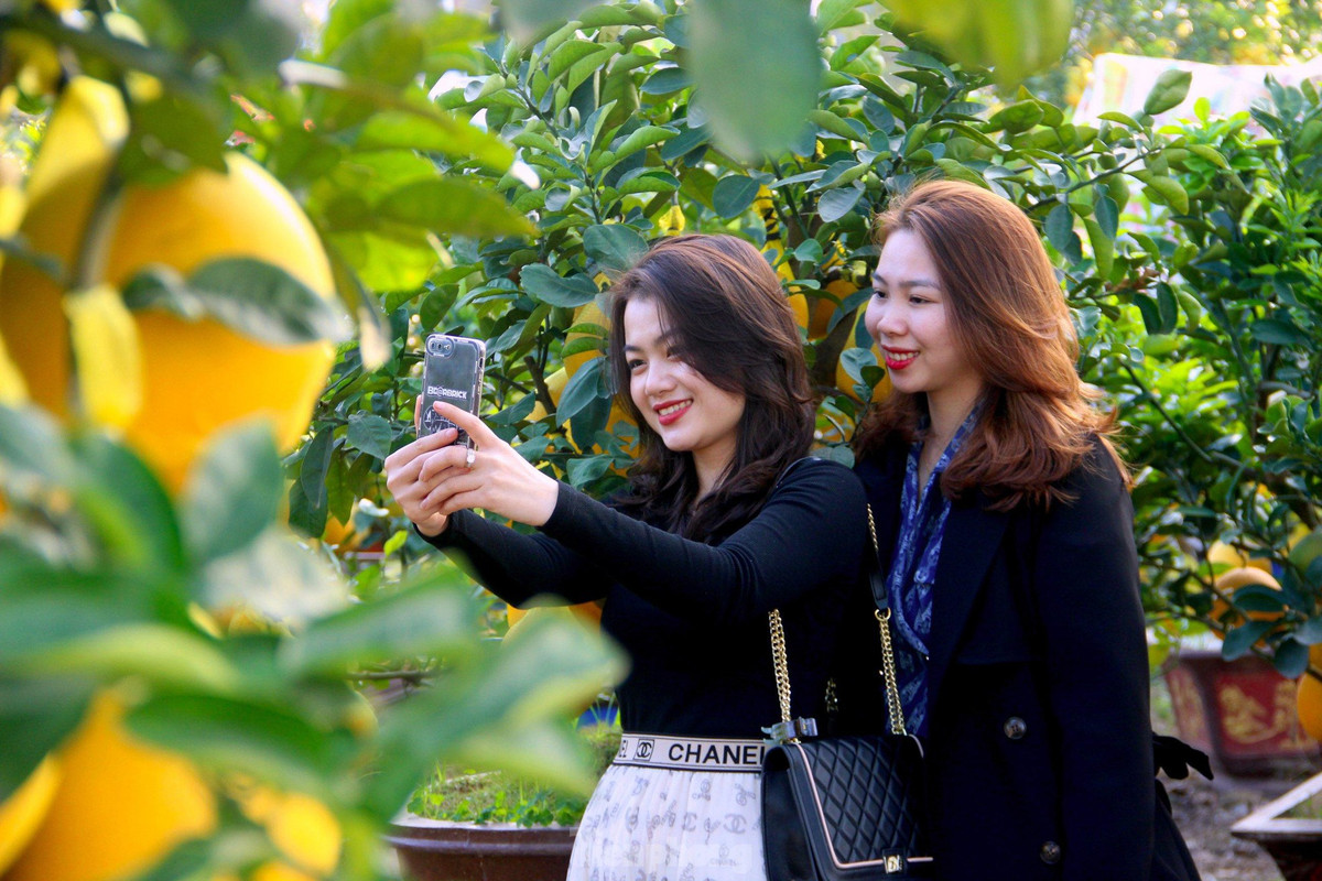 br/> Được đánh giá là vườn bưởi Diễn đẹp nhất hiện nay tại thành phố Vinh, bởi thế đây cũng là địa điểm lý tưởng để nhiều người tìm đến chơi, ngắm bưởi và check-in. 