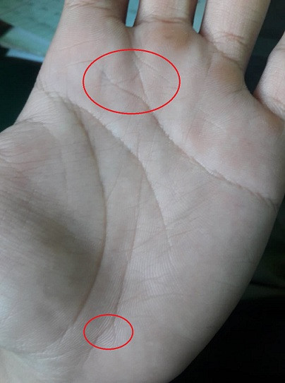 Đường chỉ tay đuôi phượng: Trong nhân tướng học và tử vị học đường chỉ đuôi phượng còn được gọi với tên khác là đường chỉ tam xiên. Người sở hữu sẽ có tính cách thẳng thắn, trung trực, tài năng hơn người. Tuy nhiên, họ cũng dễ mắc phải nhiều sai lầm không đáng có. Cuộc đời được luận đoán là tuổi trẻ sẽ bình dị, dễ thất bại nhưng nếu “có chí làm nên” thì có thể gặp được nhiều thành công lớn khi bước qua tuổi trung niên.