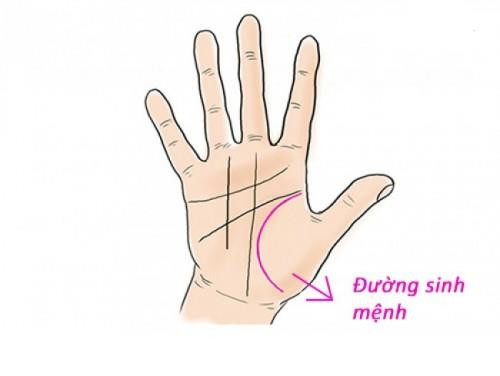 2 đường tay xui xẻo dễ gây yểu mệnh. Đường Sinh mệnh quá ngắn: Đường sinh mệnh của một con người gắn liền tới tuổi thọ và sức khỏe của người đó. Đường sinh mệnh nằm trong lòng bàn tay khu vực ở giữa ngón cái và ngón trỏ, là 1 đường vòng cung bao quanh ngón tay cái. Trên tay mỗi người chúng ta đều có đường chỉ tay này. 