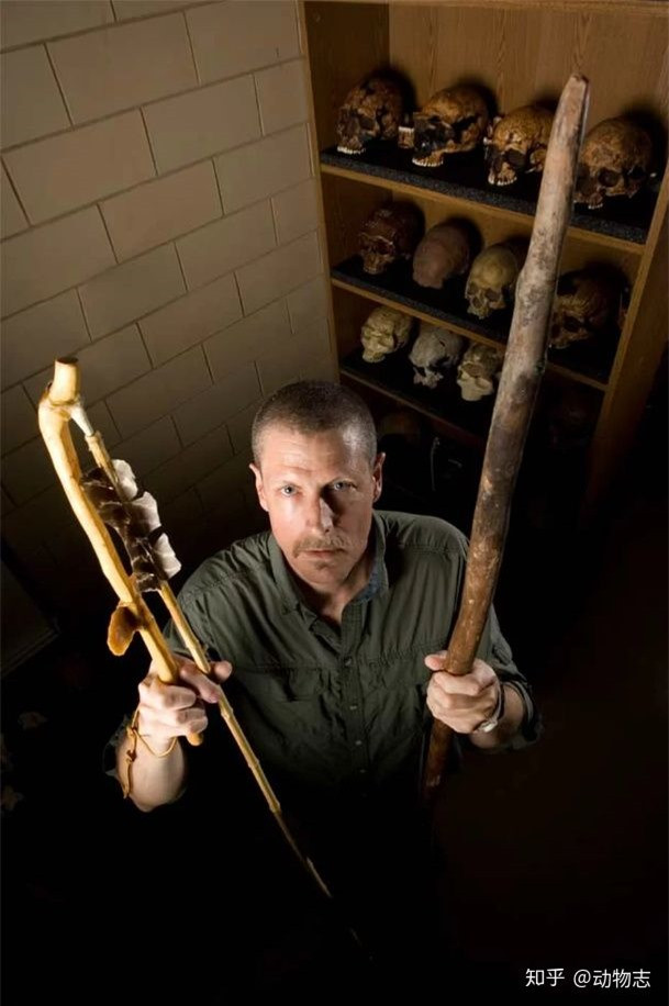 Lam the nao ma nguoi Homo sapiens da danh bai nguoi Neanderthal?-Hinh-3