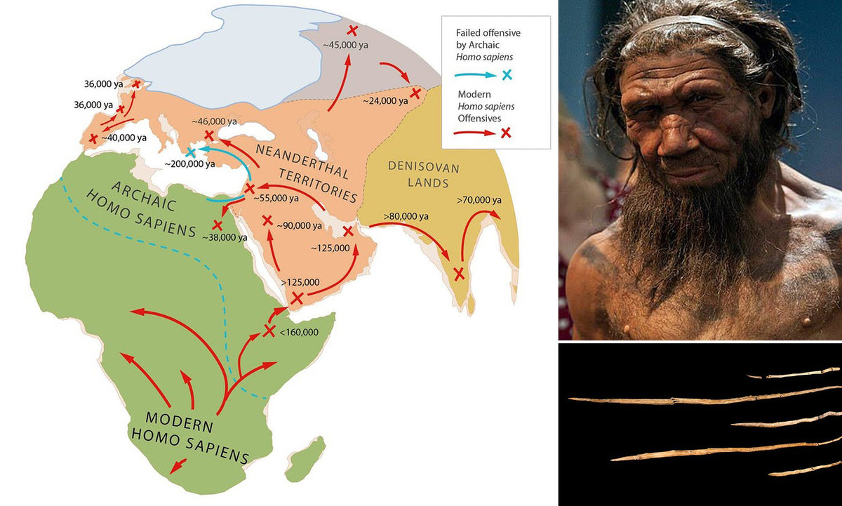 Lam the nao ma nguoi Homo sapiens da danh bai nguoi Neanderthal?-Hinh-5
