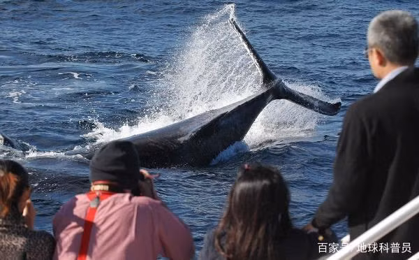 8 cong viec luong cao khung khiep ma khong phai ngoi hang gio truoc may tinh-Hinh-5