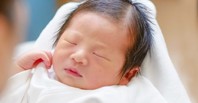 4 bo phan cua tre cang to chung to tre cang khoe manh