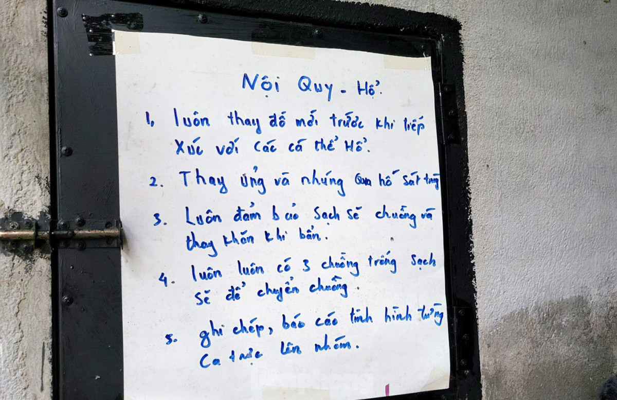 Bên ngoài mỗi phòng đều có một tờ giấy A4 ghi rõ nội quy, lịch trình theo dõi, cho ăn, tiêm thuốc...