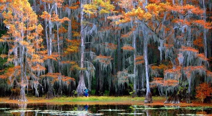 5 loai cay ky la trong nhu den tu hanh tinh khac-Hinh-10