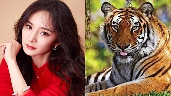 3 con giap an loc Than tai, sang nam Nham Dan giau sang phu quy-Hinh-2