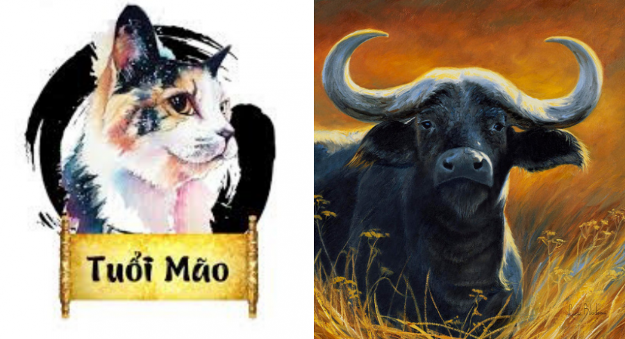 5 cap con giap me chong - nang dau xung khac ca doi, kho be hoa hop-Hinh-4