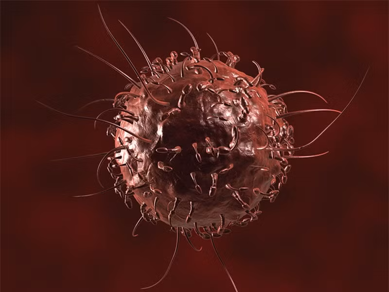 Tế bào ung thư rất "sợ" nếu bạn ăn 7 loại rau quả này hàng ngày ảnh 1