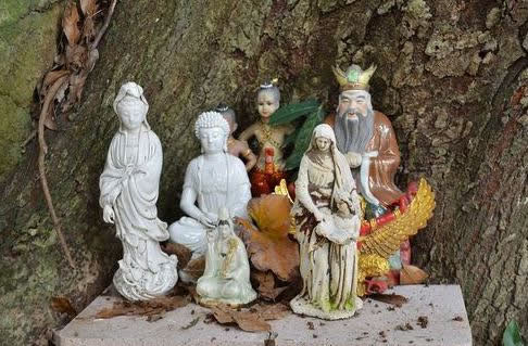 Ra đường thấy 4 thứ này, thích mấy cũng không rước về nhà - Hình 4 Ra duong thay 4 thu nay, thich may cung khong ruoc ve nha-Hinh-4