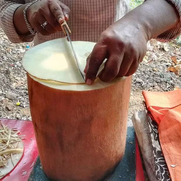 Mon an bi an nhat the gioi, ban la liet nhung khong ai biet lam tu gi-Hinh-3