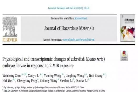 Mach ban thoi diem tot nhat de ngam chan moi ngay-Hinh-2