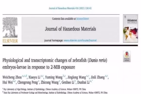 Mach ban thoi diem tot nhat de ngam chan moi ngay-Hinh-2