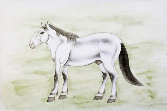 Tuổi Ngọ. Những người thuộc con giáp này sẽ có nhiều cơ hội để phát triển và khởi sắc trong công việc lẫn cuộc sống.