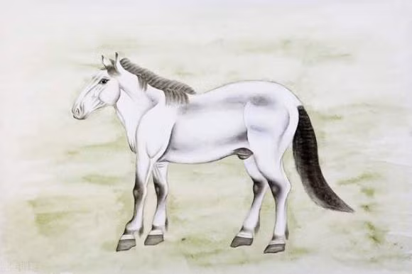 Tuổi Ngọ. Những người thuộc con giáp này sẽ có nhiều cơ hội để phát triển và khởi sắc trong công việc lẫn cuộc sống.