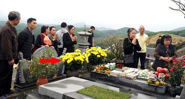 Cuối năm đi tảo mộ mang 3 loại hoa này, tổ tiên ưng ý ban lộc - Hình 2 Cuoi nam di tao mo mang 3 loai hoa nay, to tien ung y ban loc-Hinh-2