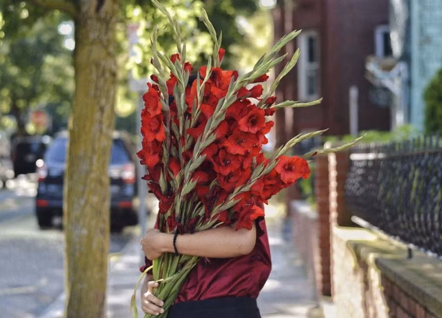 Cuoi nam di tao mo mang 3 loai hoa nay, to tien ung y ban loc