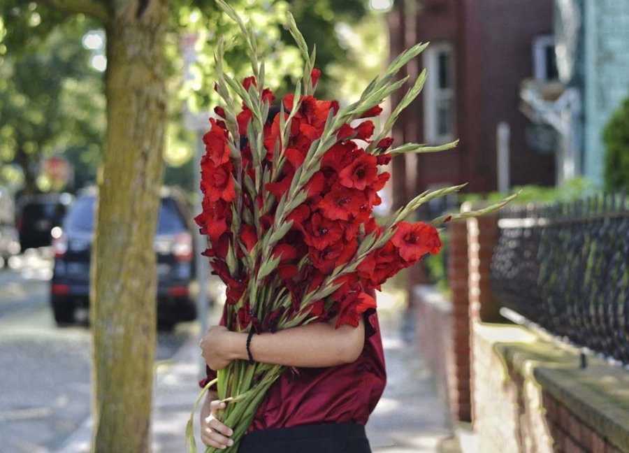 Cuối năm đi tảo mộ mang 3 loại hoa này, tổ tiên ưng ý ban lộc Cuoi nam di tao mo mang 3 loai hoa nay, to tien ung y ban loc