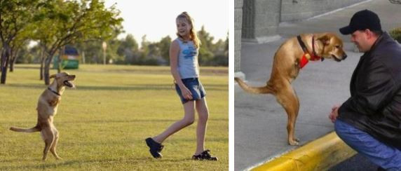 Co cho 2 chan day ca the gioi bai hoc nghi luc phi thuong-Hinh-2