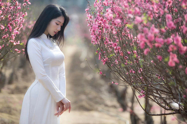 Trước đó, Thanh Huyền được biết đến với nhiều bộ ảnh nghệ thuật đặc sắc khác như: diện áo dài chụp ảnh bên cúc hoạ mi, hoa loa kèn, hoa sen...