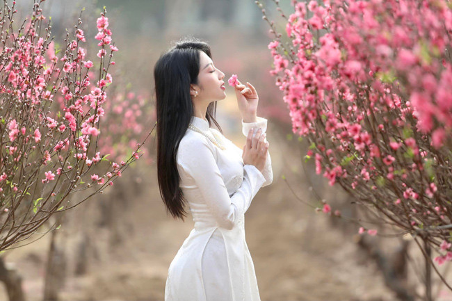 Bộ ảnh được Thanh Huyền thực hiện tại vườn đào Hà Nội.