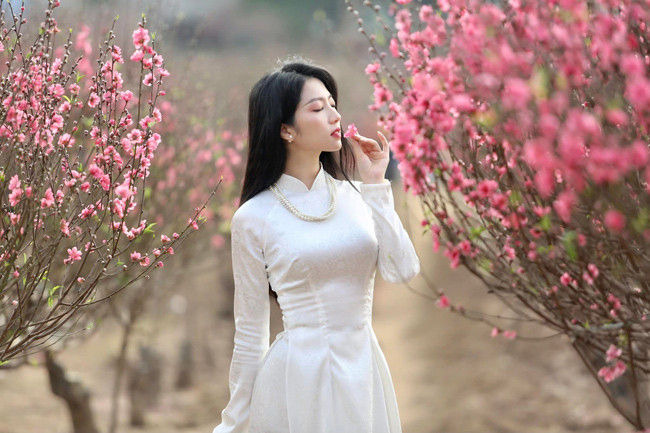 Diện áo dài trắng tinh khôi, cô nàng khoe nhan sắc ngây ngất bên vườn đào đầu năm.