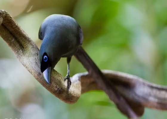 Cuoi nam thay trong nha co 4 hien tuong nay la diem bao hy tin-Hinh-2