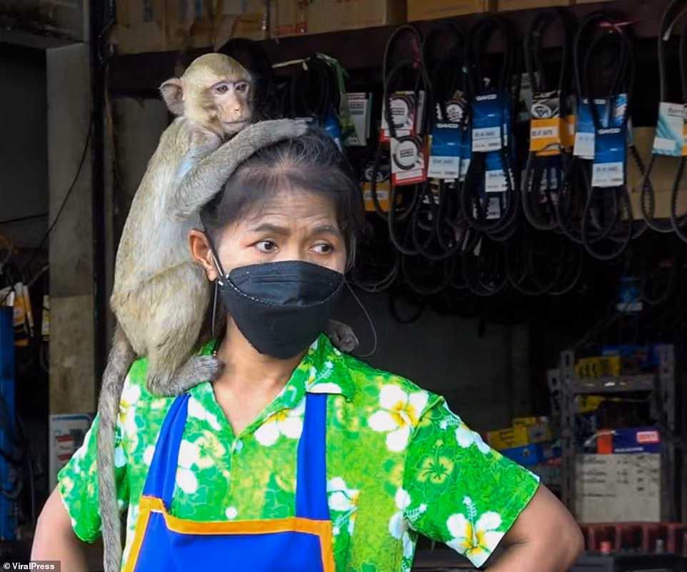 Bay khi hoang ngan con tan cong thi tran o Thai Lan