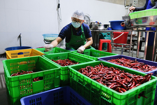 Cam 30 trieu dong khoi nghiep, 9x xu Thanh thu ve tien ty moi nam-Hinh-3