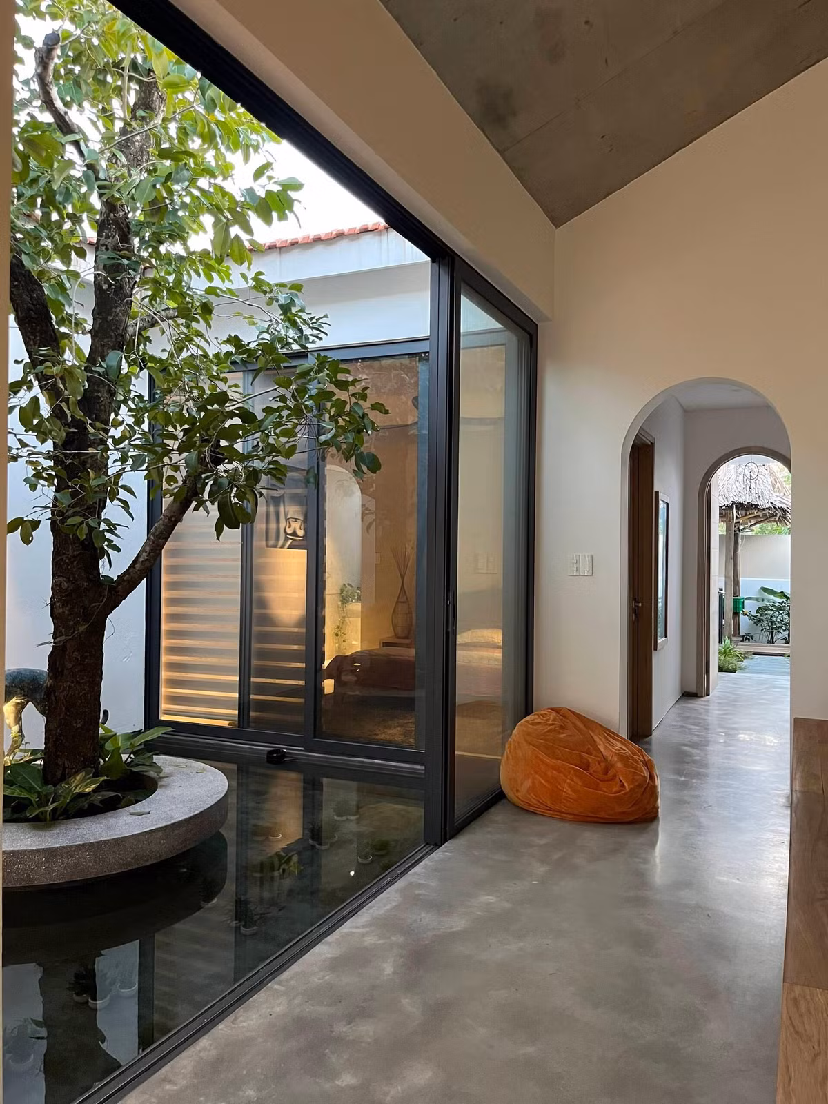 Bo tri ho ca giua nha thay gieng troi gay thuong nho-Hinh-9