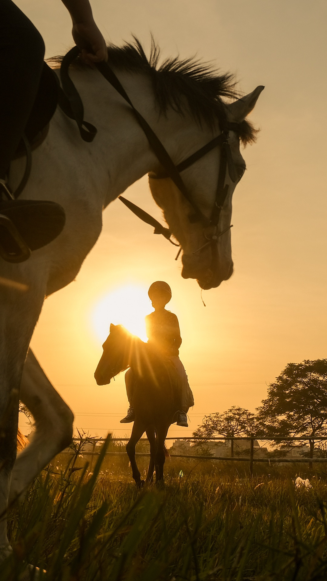 Sau khoảng 3-6 tháng cần mẫn tập luyện bài bản, các học viên nhí hoàn toàn có thể chủ động điều khiển con vật đi bộ, di chuyển vòng tròn, vượt qua các chướng ngại vật...