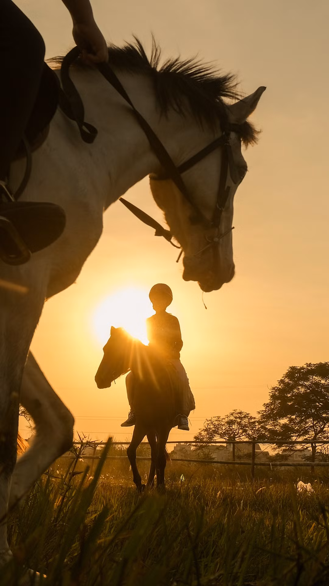 Sau khoảng 3-6 tháng cần mẫn tập luyện bài bản, các học viên nhí hoàn toàn có thể chủ động điều khiển con vật đi bộ, di chuyển vòng tròn, vượt qua các chướng ngại vật...