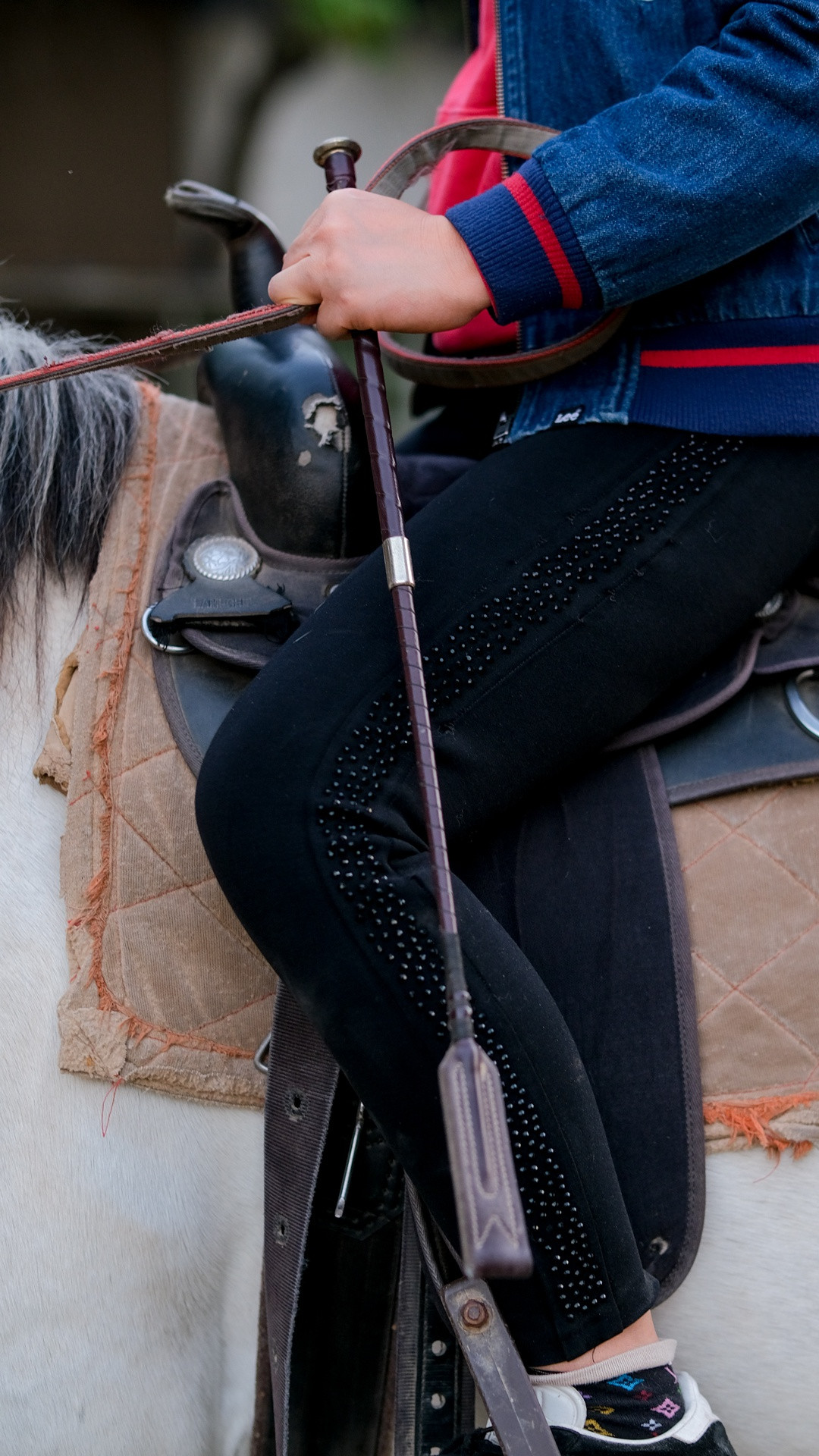 Roi da gần như chỉ để "làm cảnh" trong quá trình tập luyện. Khác với suy nghĩ của nhiều người, tốc độ không phải điều tiên quyết khi cưỡi ngựa, mà là việc thực hiện các động tác linh hoạt và đúng kỹ thuật.