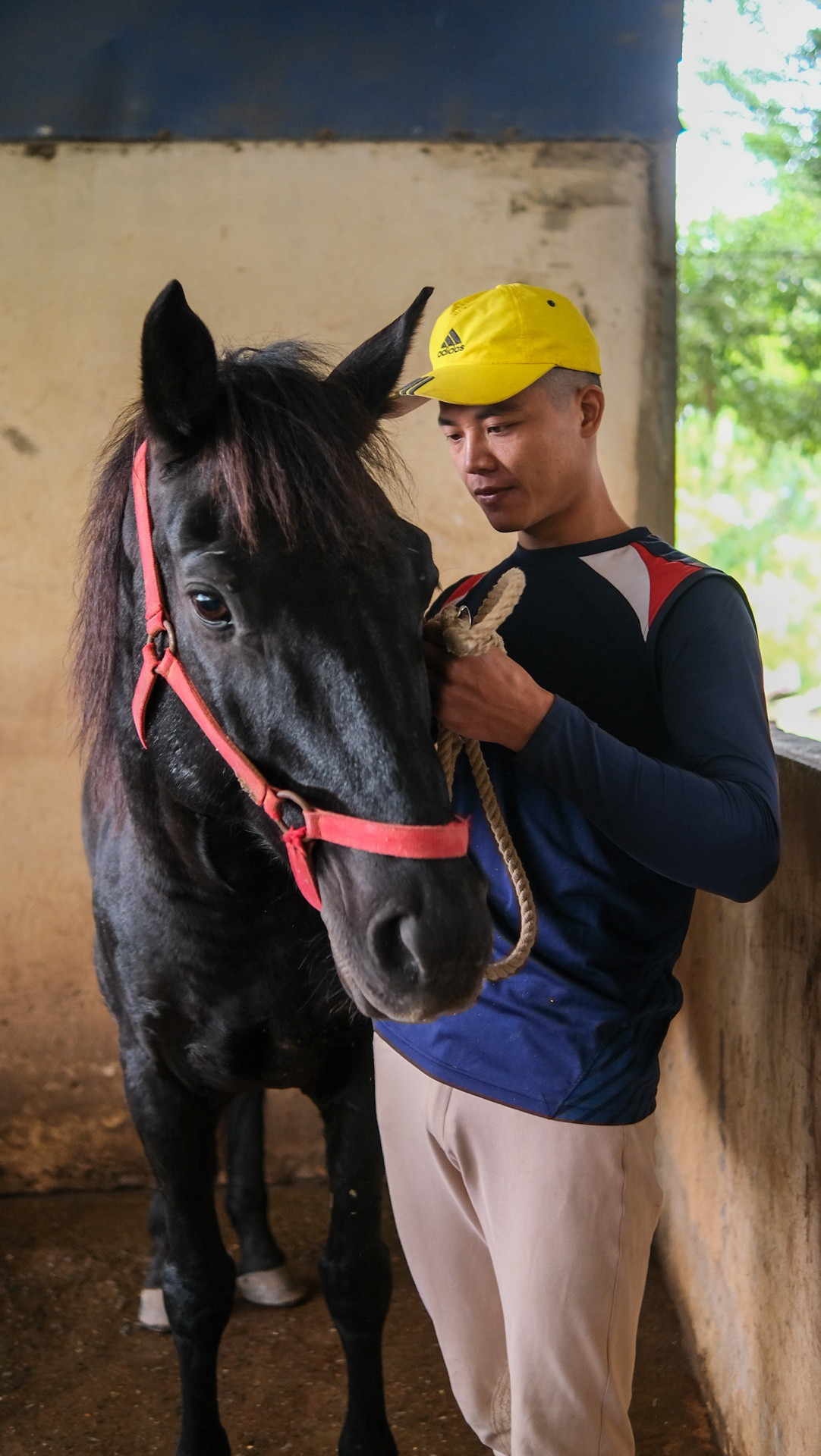 Tôi cùng với những đồng nghiệp ở CLB Ngựa Hà Nội (huyện Hoài Đức) chăm sóc gần 30 con ngựa thuần chủng được nhập khẩu từ nước ngoài. Chúng được huấn luyện các kỹ năng cơ bản như nhảy rào, phi nước kiệu, nước đại... nhằm phục vụ mục đích trình diễn, cho thuê chụp ảnh và giảng dạy học viên.
