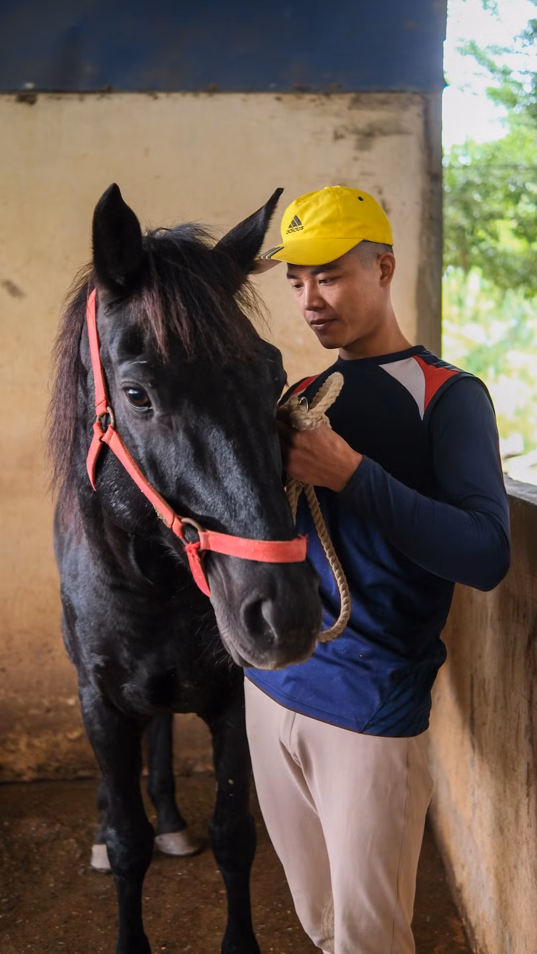 Tôi cùng với những đồng nghiệp ở CLB Ngựa Hà Nội (huyện Hoài Đức) chăm sóc gần 30 con ngựa thuần chủng được nhập khẩu từ nước ngoài. Chúng được huấn luyện các kỹ năng cơ bản như nhảy rào, phi nước kiệu, nước đại... nhằm phục vụ mục đích trình diễn, cho thuê chụp ảnh và giảng dạy học viên.