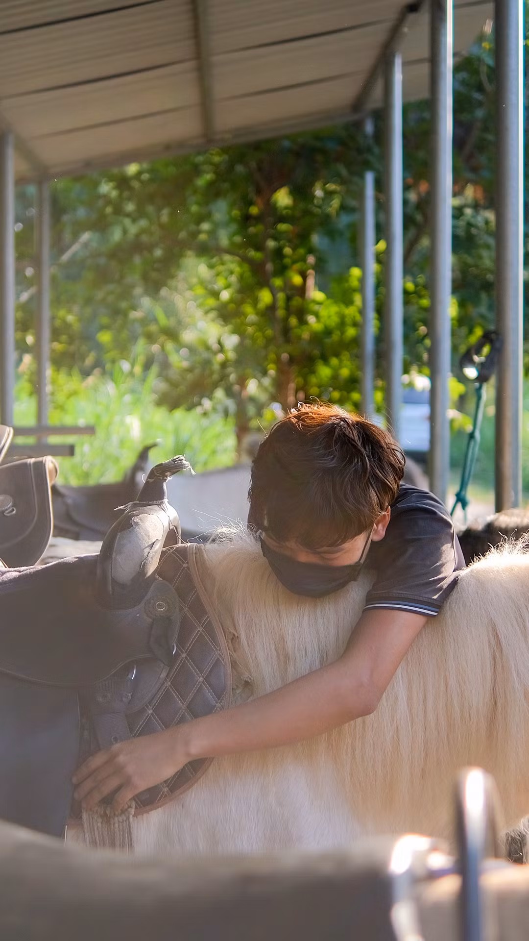 Tuy nhiên, trong quá trình chăm sóc, mỗi con ngựa được thương yêu như nhau, không có sự thiên vị nào. Với tôi, chúng đều ngoan, thân thiết và mối liên kết đặc biệt với những người chăm sóc.