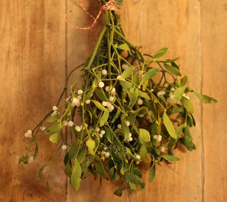 8 loai cay chung ta van thuong xuyen tiep xuc ma khong biet chung co doc-Hinh-4