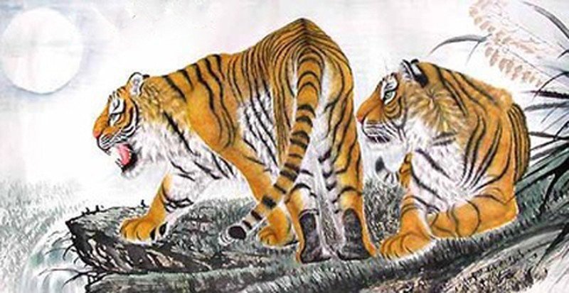 6 đồ vật nhà ai cũng có ngấm ngầm chiêu dụ vận xui - Hình 2 6 do vat nha ai cung co ngam ngam chieu du van xui-Hinh-2