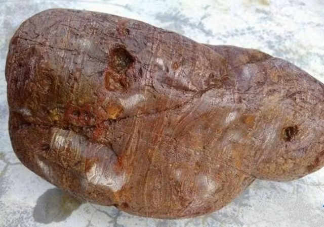 Dem khuc go muc ve nha, nguoi nong dan choang vang phat hien kho bau-Hinh-3