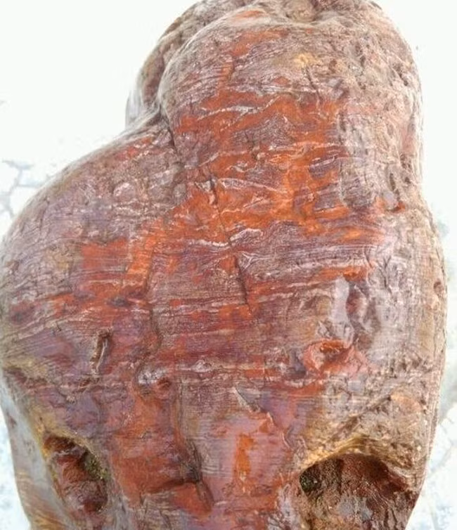 Dem khuc go muc ve nha, nguoi nong dan choang vang phat hien kho bau-Hinh-4