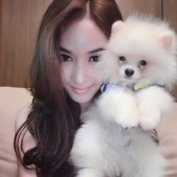 Với sắc đẹp nổi bật, Piyada được cho là sẽ đánh bại các thí sinh chuyển giới Malaysia và Thái Lan, giành vương miện Nữ hoàng Quốc tế 2014.