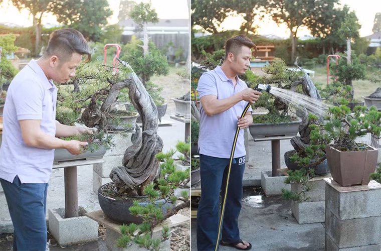 Ngoài đam mê ca hát, Bằng Kiều còn có niềm đam mê lớn đối với nghệ thuật bonsai. Anh sở hữu một vườn bonsai có giá trị lên tới hàng tỷ.