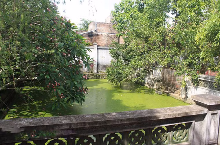 Với vườn cây, ao cá.