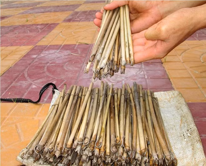 Lưỡi câu ếch được cột vào sợi dây nylon rồi buộc vào thân cây trúc nhỏ được cắt thành đoạn dài khoảng 25 cm.