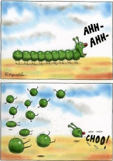 "Tôi cần phải hắt hơi".