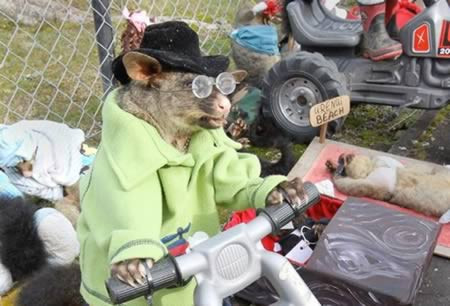 Thú nhồi bông hình thù kỳ dị.