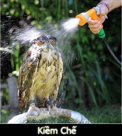 Học cách kiềm chế.